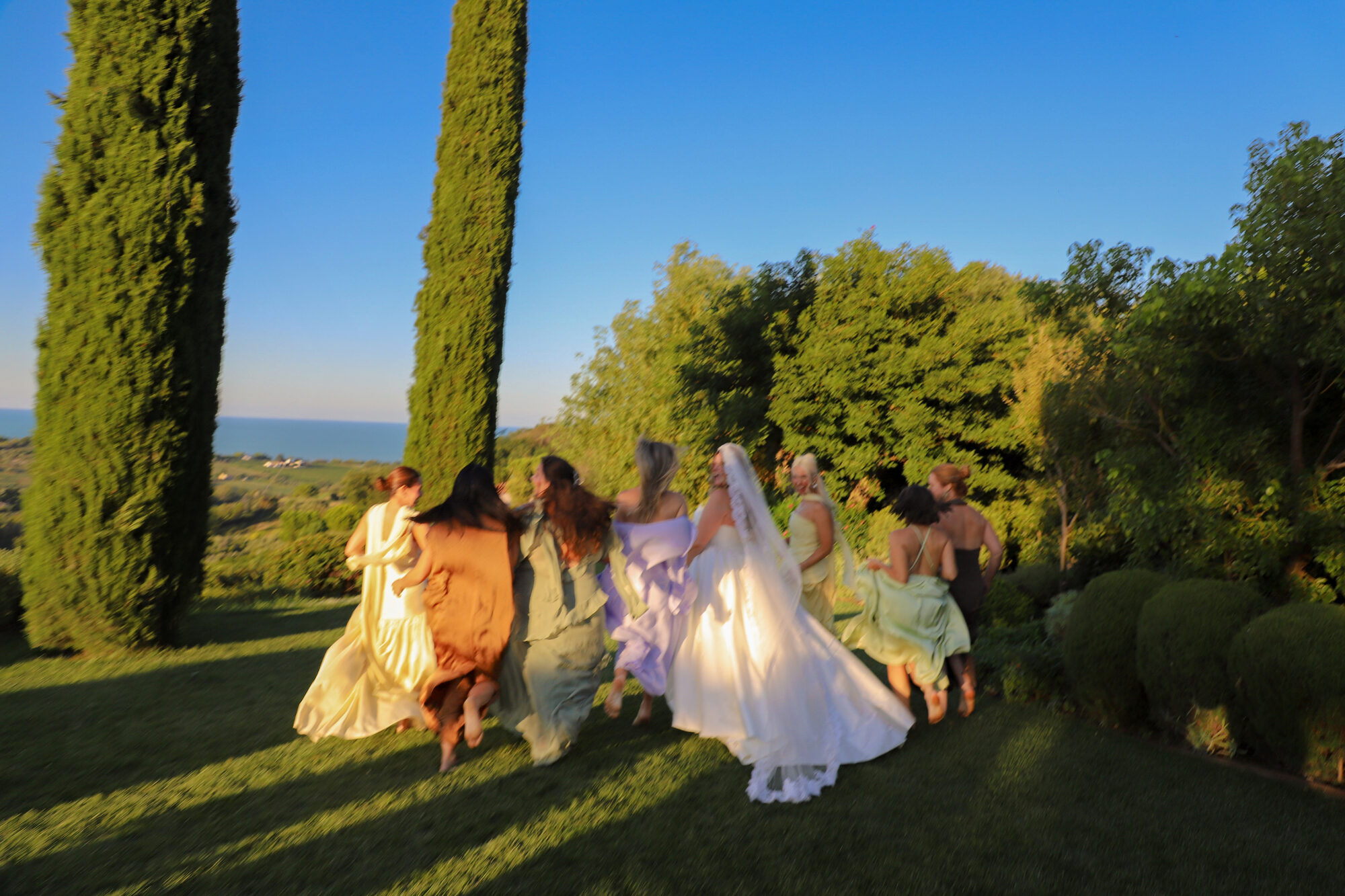 Weddings